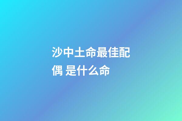 沙中土命最佳配偶 是什么命